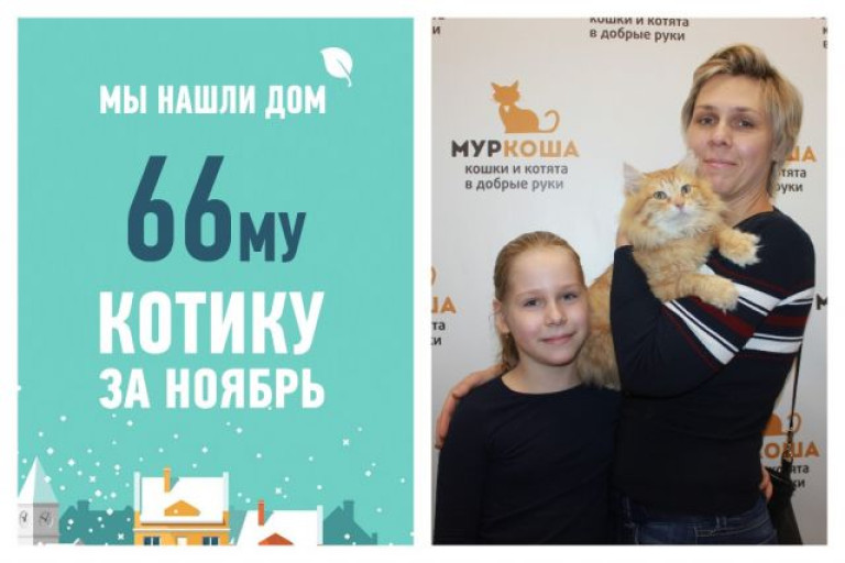 У котика Амиго, брошеннного на дачах, появились настоящие друзья!