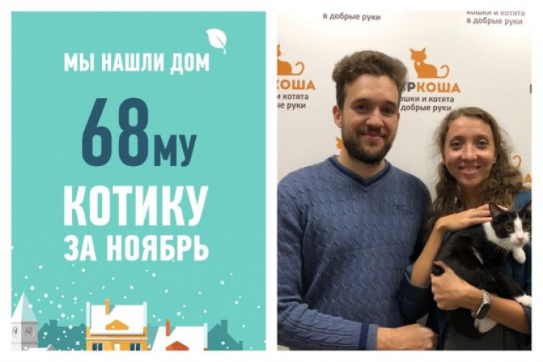 Пятимесячный Рубенс, найденный на улице, стал домашним!