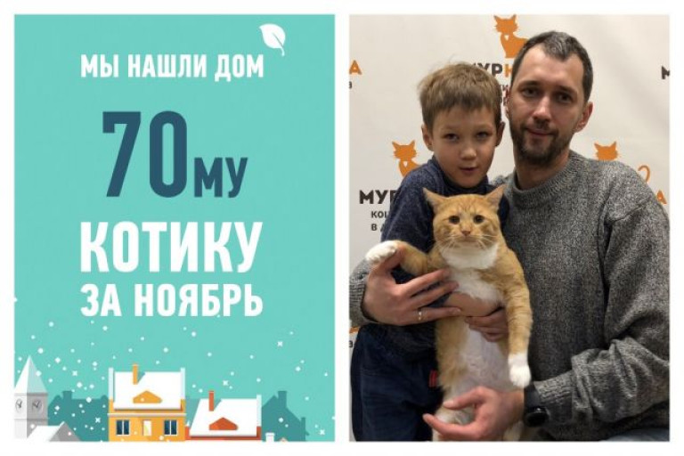 Провожаем в новый дом годовалого котика Усаму!