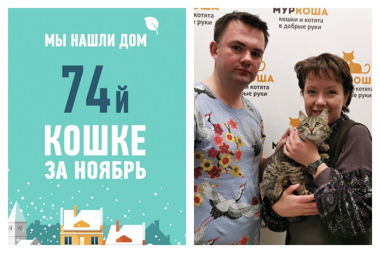 Три недели на поиск заботливых хозяев для кошки Малышеньки!
