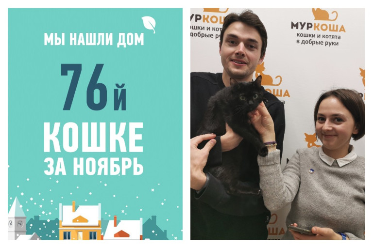 У кошки Гааги появились хозяева и уютный дом!
