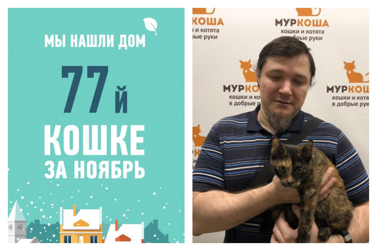Отправилась домой вместе с новым хозяином кошка Муня!