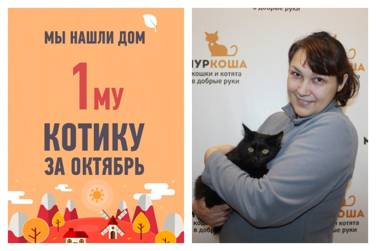 Открывает хит-парад счастливчиков октября котенок Морган!