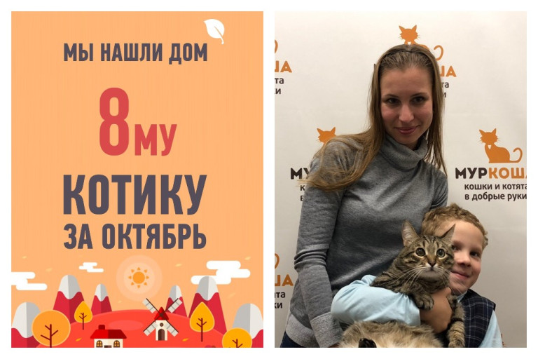 Трехлетний кот Марти с переломом лапки стал домашним!