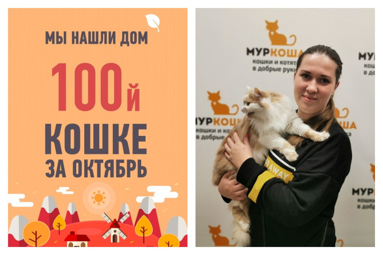 Юбилейной 100 выпускницей октября становится кошка Нюся!