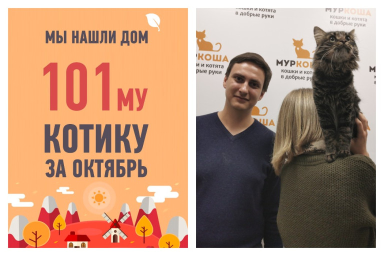 Мы помогли снова стать домашним коту Зигги!
