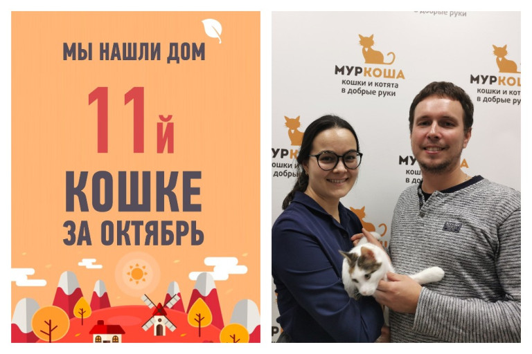 Своя семья появилась и у годовалой кошки Спарты!