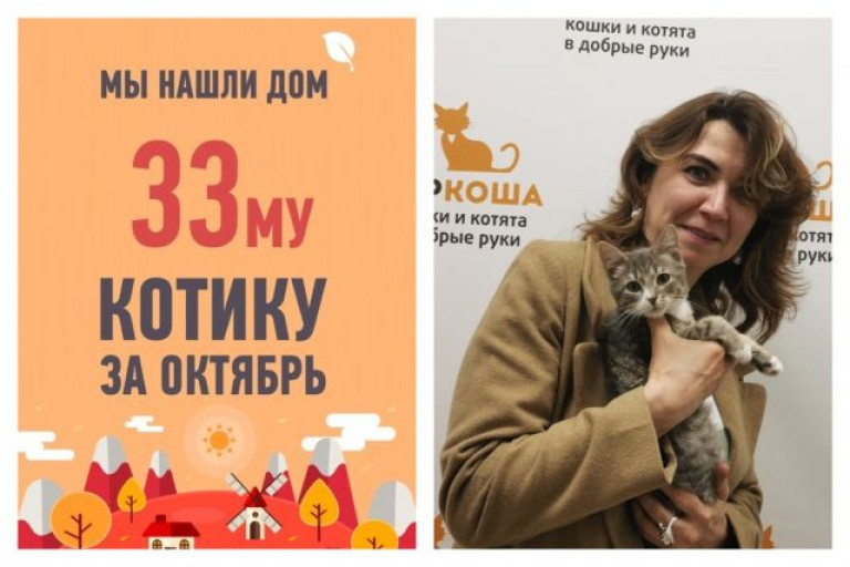 Потерянное счастье Кристика нашлось менее, чем за месяц!