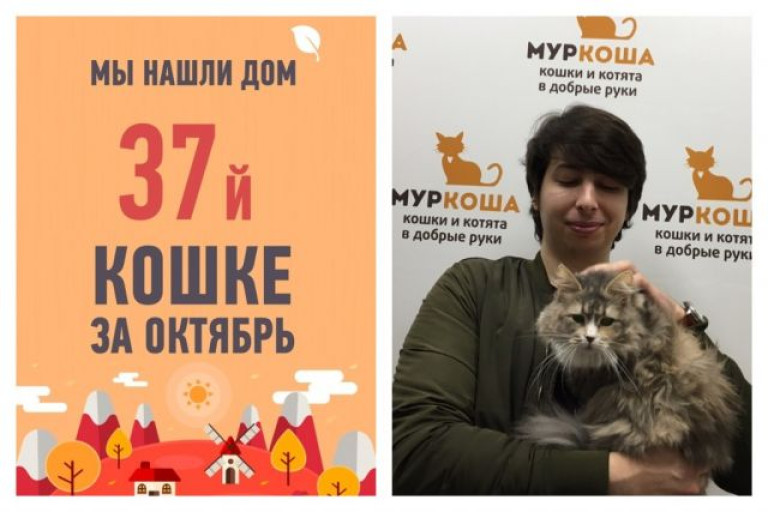 Восьмилетняя Воробышек наконец дождалась своего Человека!