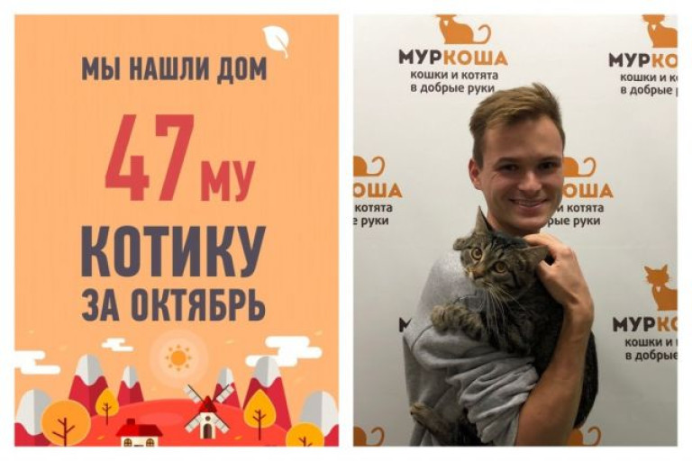 От попадания Котофея в приют до уезда домой прошел ровно месяц!