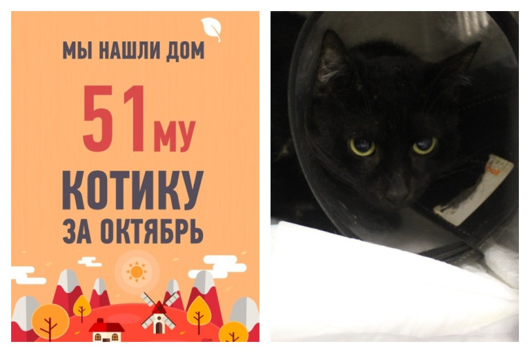 Трехлетнего Лучано забирают в новый дом!