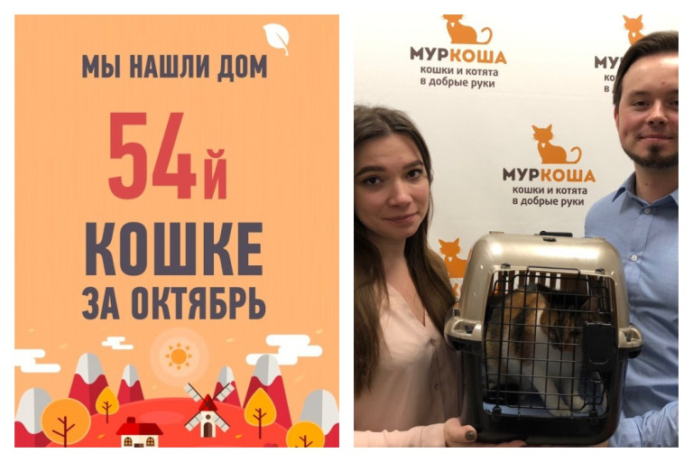 Годовалая Пеструха дождалась своей судьбоносной встречи!