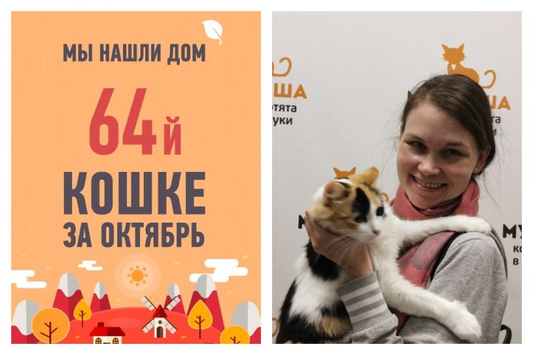 Кошка Мэрри рада познакомить вас с новой хозяйкой!