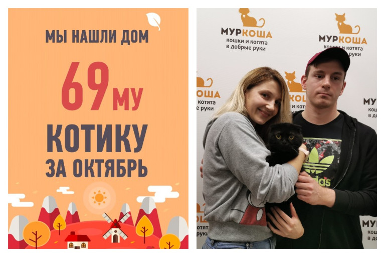 Пятилетний кот Шериф снова стал счастливым!