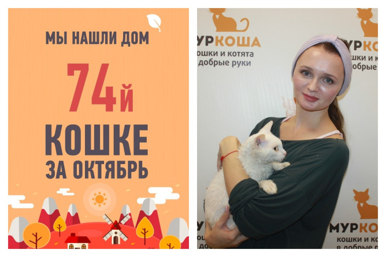 Провожаем в новый дом красавицу Долли!