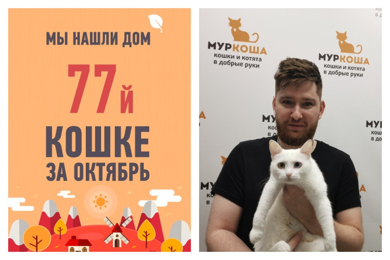 Двухлетняя кошка Мелена обрела надежного защитника!