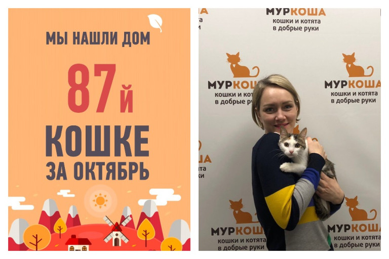 Климона познакомилась с своей хозяйкой!