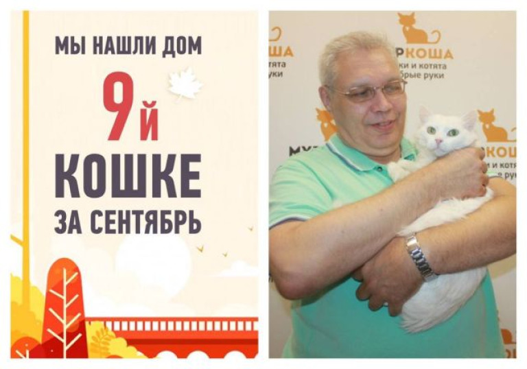 Вторая попытка стать счастливой у кошки Леонеллы!