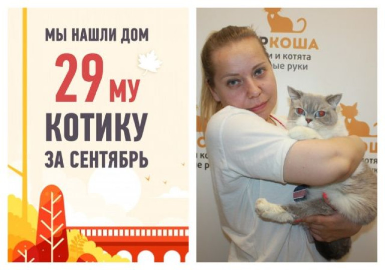 Мы нашли дом для четырехлетнего кота Тедди всего за один день!