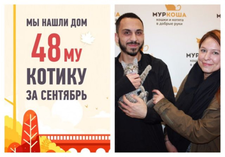 У котенка Пусика появились любящие хозяева!