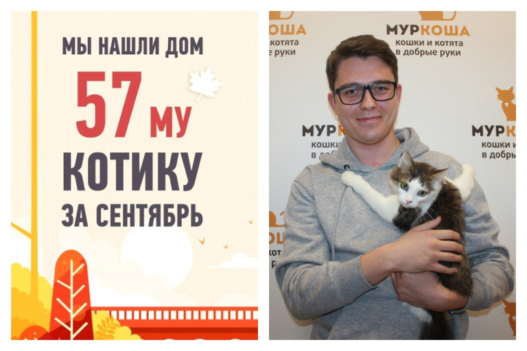 Провожаем в новую счастливую жизнь котенка Сэми!