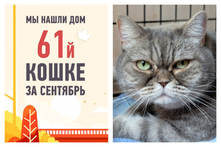 Роскошная Синьора уезжает обратно домой!