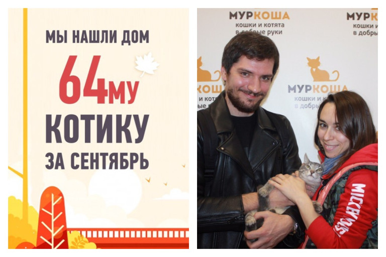 Котик Финик стал домашним любимцем!