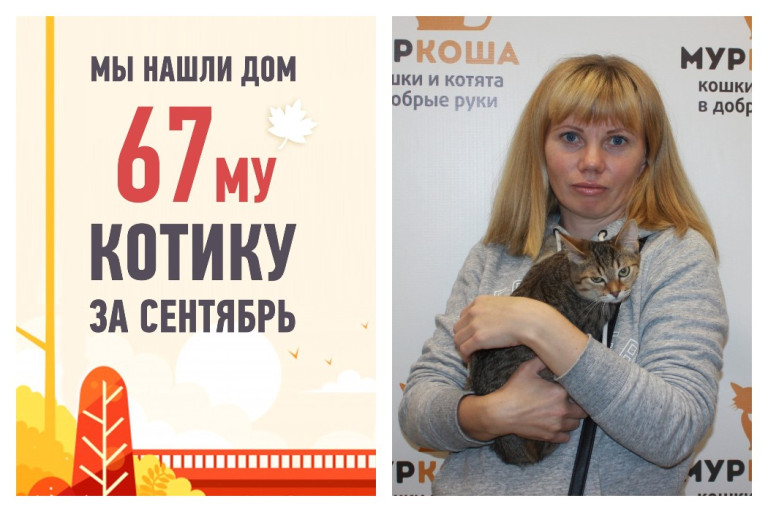 Уезжает в счастливую домашнюю жизнь котенок Васнецов!