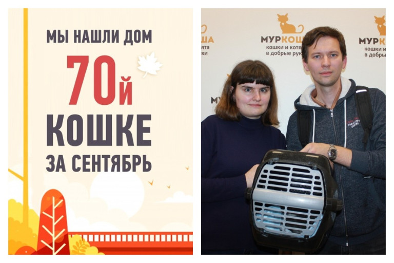 Кошка Вита стала домашней любимицей!