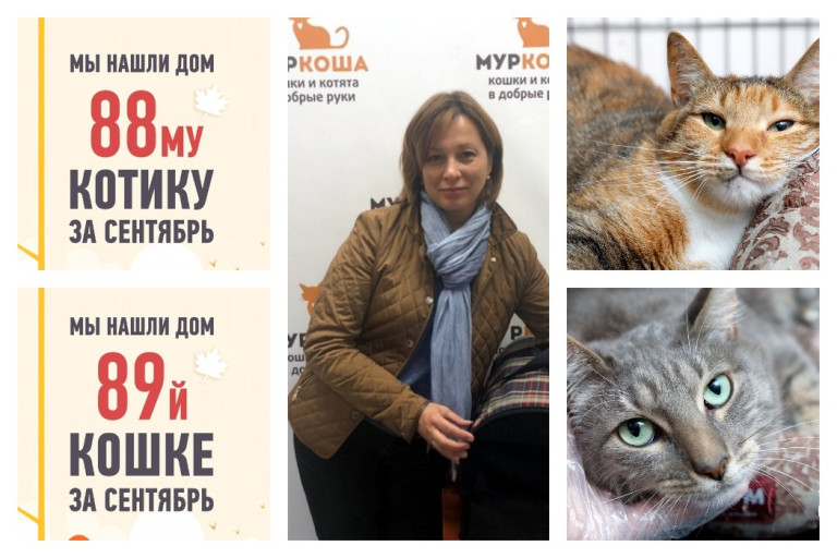 Майк и Майка отправляются в новый дом вместе!