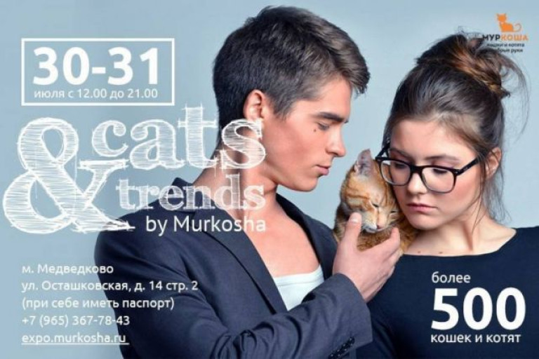 Выставка приюта «Муркоша» «Cats&Trends»