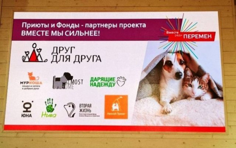 "Муркоша" на форуме "Вместе ради перемен"