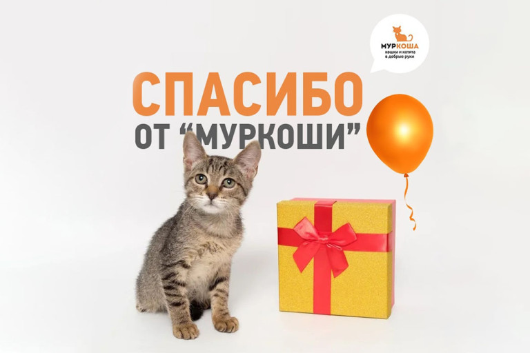 Люди, чья доброта не знает границ (01 декабря)