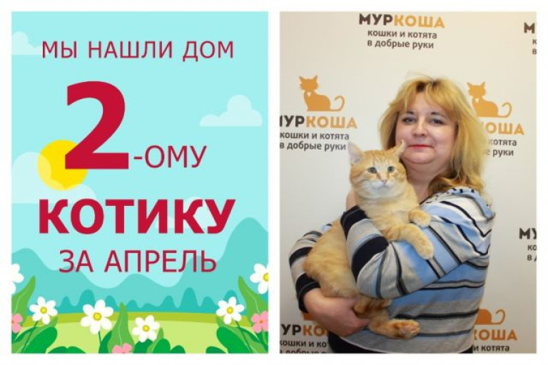 Пятилетний котик Уизли стал домашним любимцем!