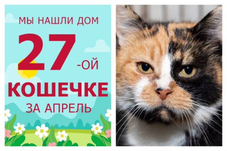 У ласковой кошечки Ушани появилась любящая хозяйка!