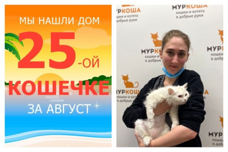 Кошечка Очаровашка нашла дом за один месяц!