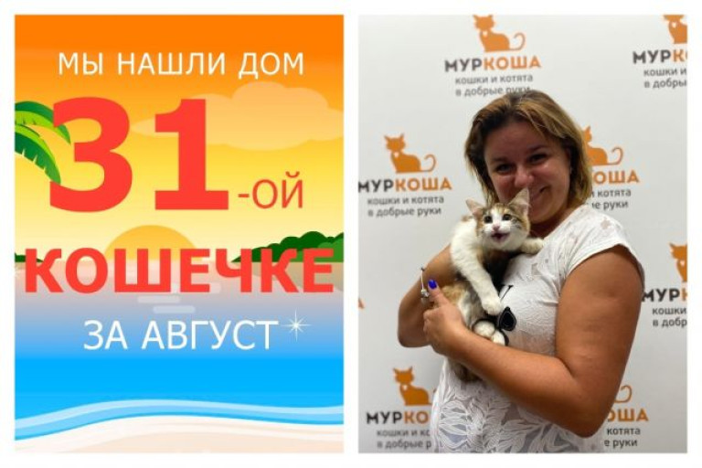 Кошечка Тамань отправилась в новый дом!