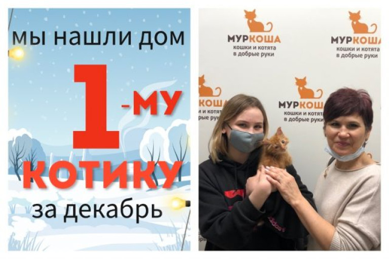Котёнок Адриан начинает счастливую домашнюю жизнь!