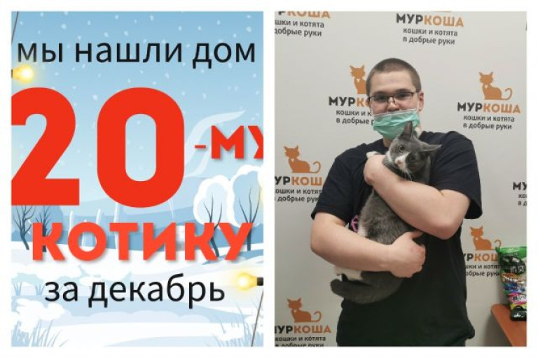 Котик Ленин нашел дом за три недели!