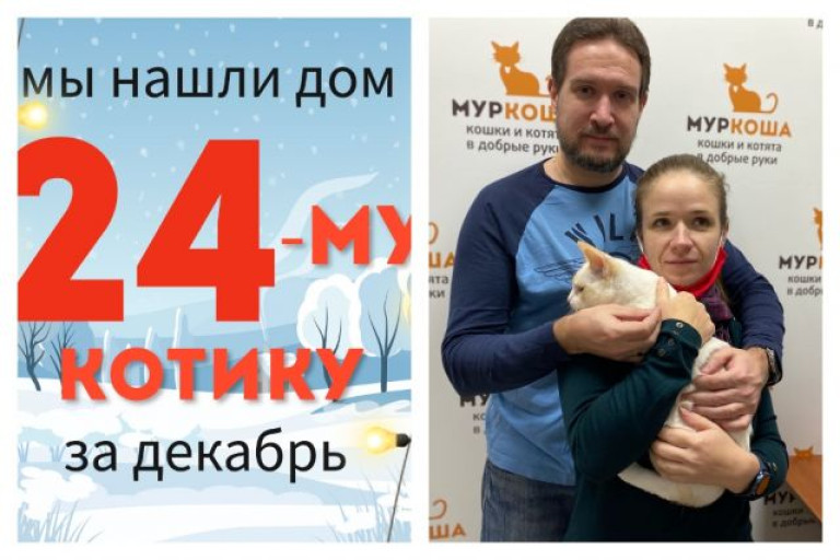 Жизнь нежного Нямсика теперь в надежных руках!