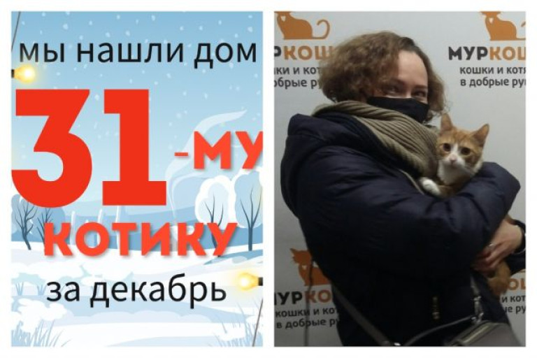 Котёнок Янтарик стал домашним и любимым!