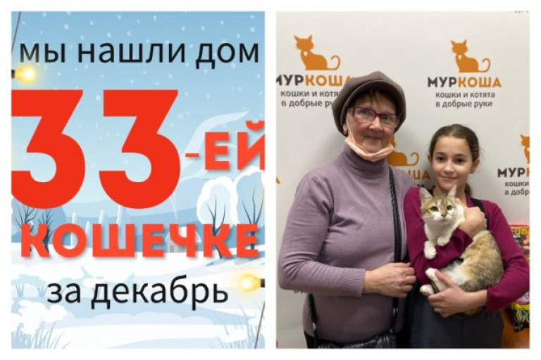 Кошечка Сабрина нашла дом за один месяц!