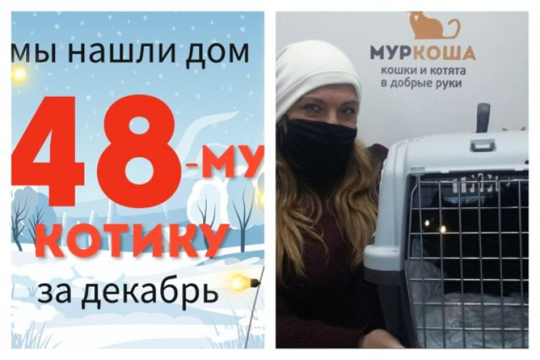 Котик Помпоша начинает жизнь с чистого листа!