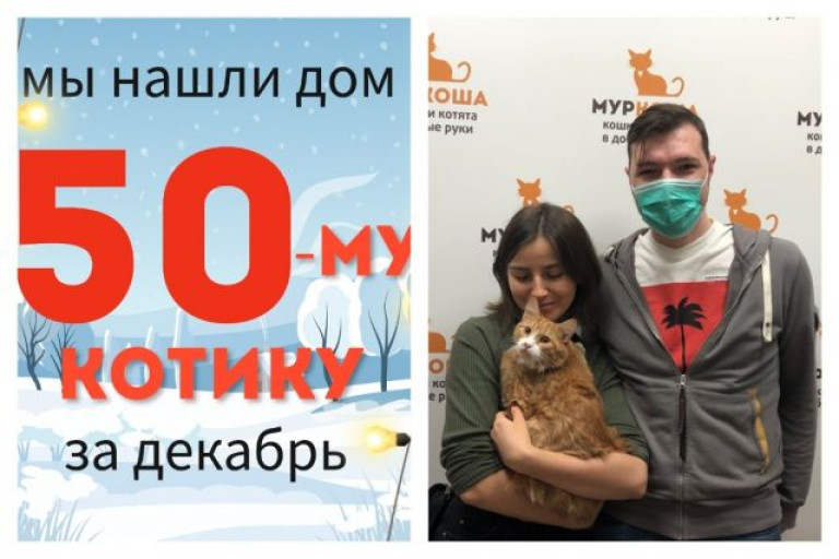 Котик Листочек стал частью прекрасной семьи!