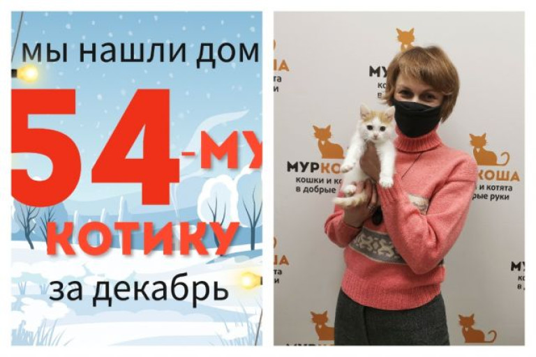 Малыш Артемий теперь домашний котик!
