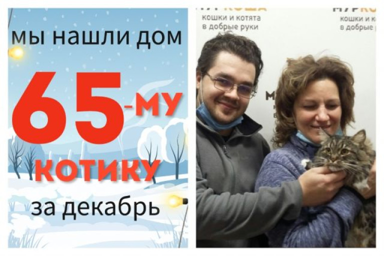 У трёхлетнего котика Лисика появились дом и семья!