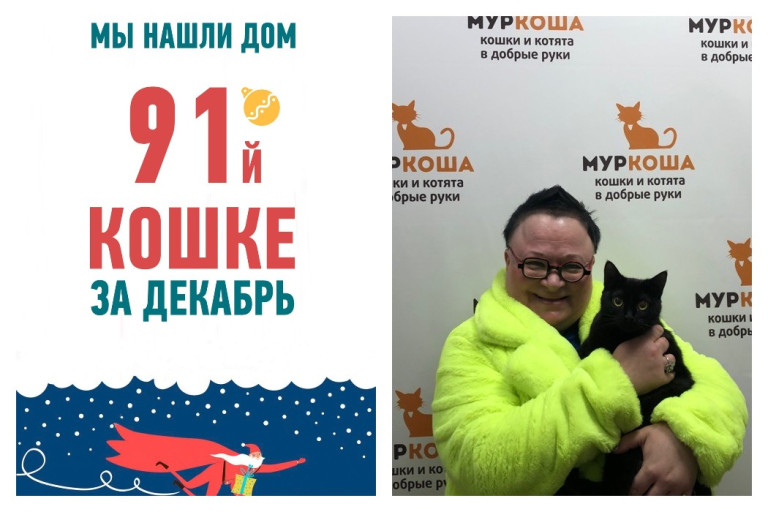 Спустя два месяца в приюте у кошки Тори появилась суперхозяйка!