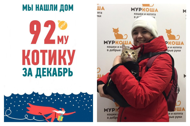 Счастливая история обретения дома восьмимесячным котиком Эклером!