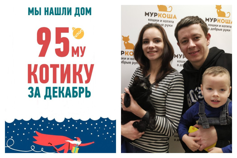 В канун Нового года котик Лёлик стал частью дружной семьи!