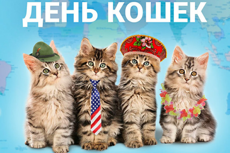 Сегодня во всем мире отмечается День Кошек!
